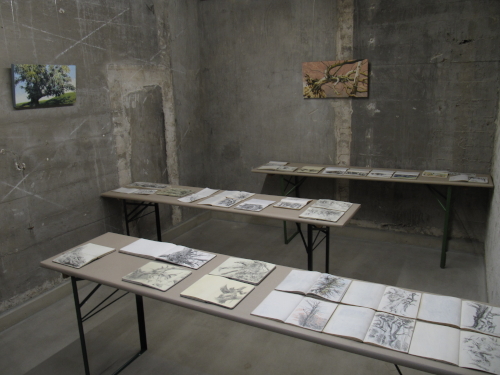 installation