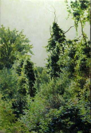 Moorteichwald