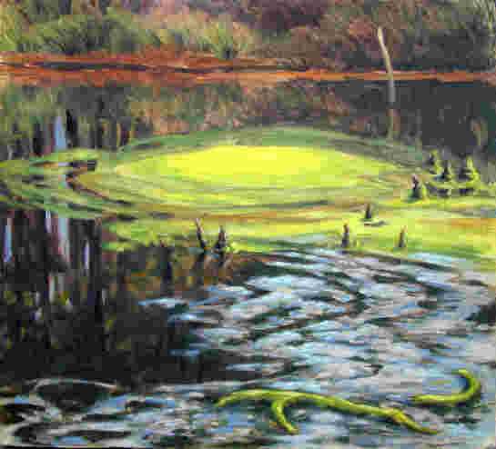 Moorteich Sphagnum