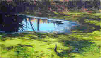 Moorteich Spiegel